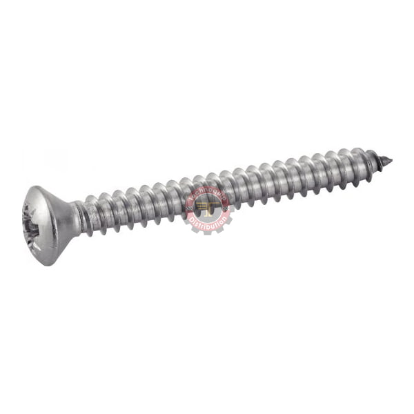 Vis à tôle TFB POZI forme C Inox A2- DIN 7983