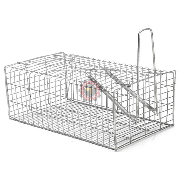 Cage pour attraper les souris