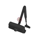 Ferme porte CT500 TESA