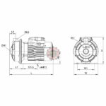 Pompe centrifuge en inox AMS (deb